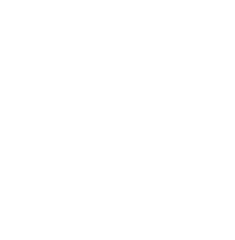Arnold Theme White Logo