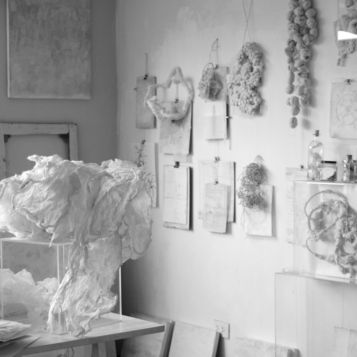 Laboratory